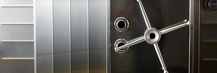 Large storage vault with handle